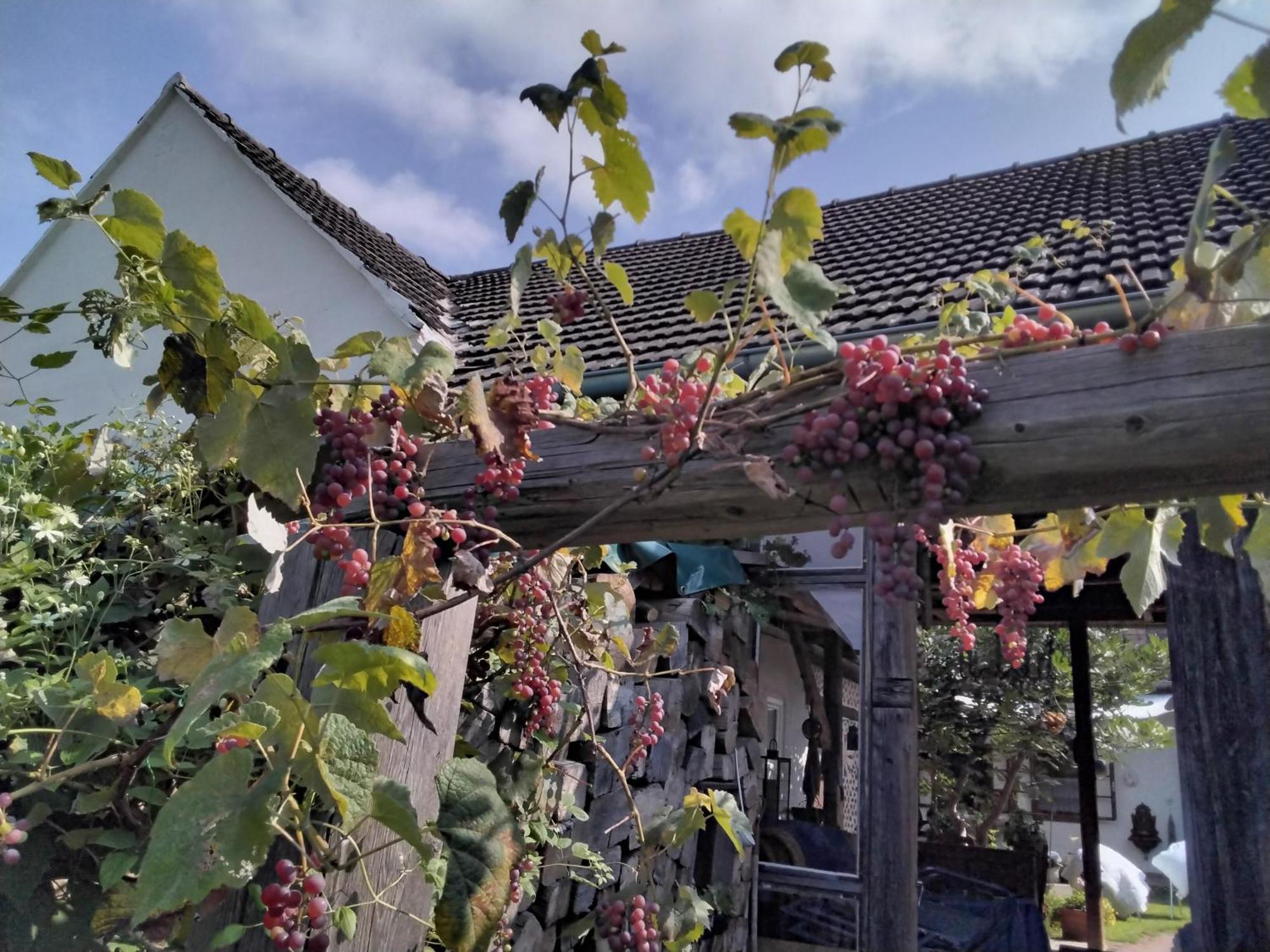 Gemütlichkeit am Vierkanthof 2 Worterberg Exterior foto